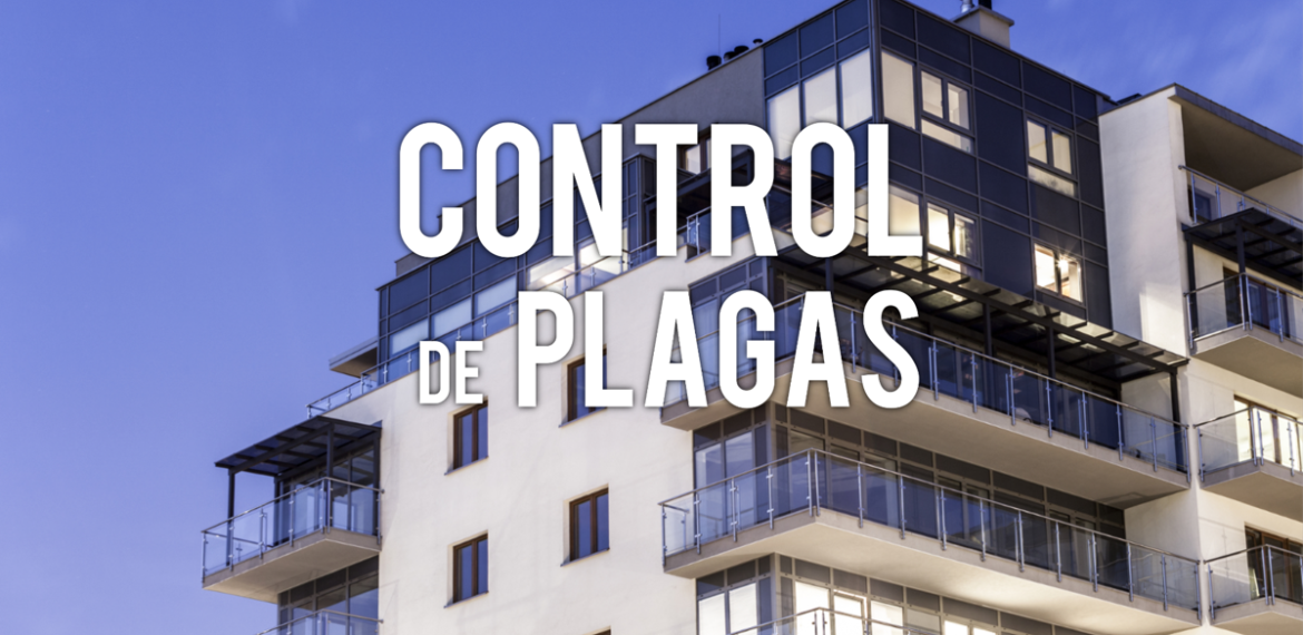 Plagas en Comunidades de Vecinos ¿cómo debemos actuar