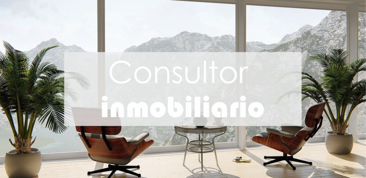 Consultor inmobiliario